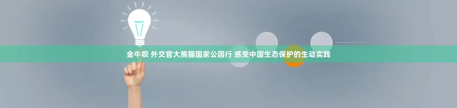 金牛呗 外交官大熊猫国家公园行 感受中国生态保护的生动实践