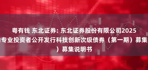 粤有钱 东北证券: 东北证券股份有限公司2025年面向专业投资者公开发行科技创新次级债券（第一期）募集说明书