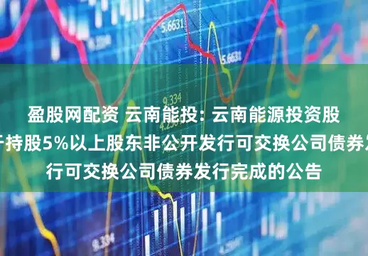 盈股网配资 云南能投: 云南能源投资股份有限公司关于持股5%以上股东非公开发行可交换公司债券发行完成的公告